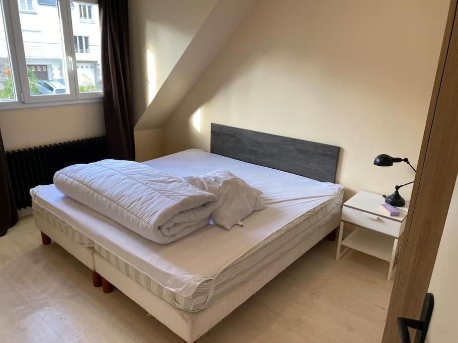 Appartement Spacieux 2 Chambres Quimper Zewnętrze zdjęcie